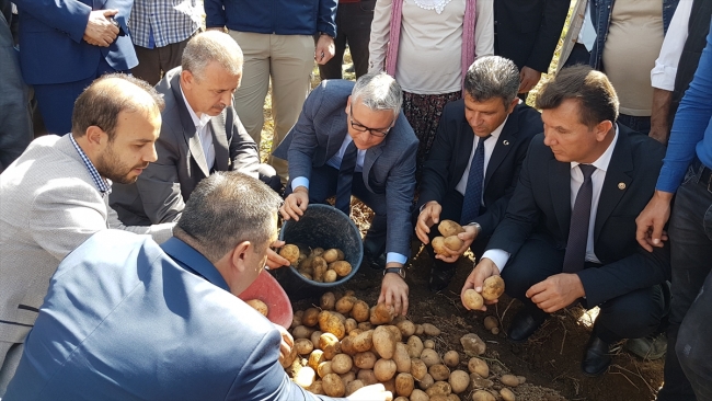 Niğde'de yerli ve milli patates çeşitlerinin tanıtımı yapıldı